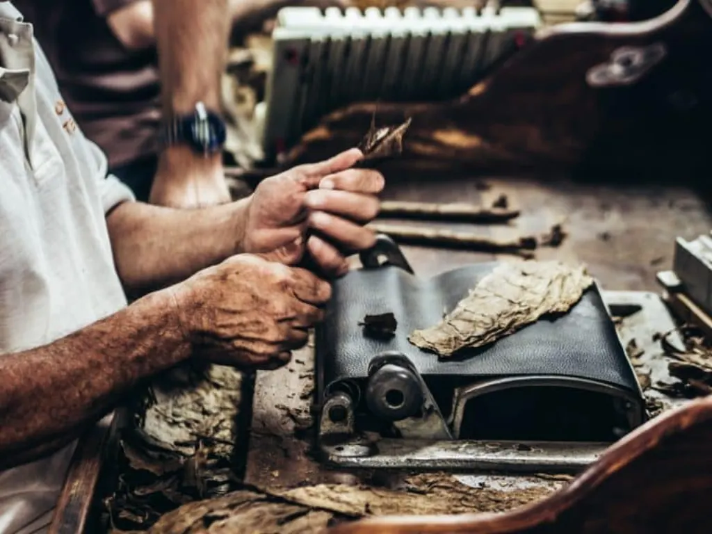 ressources humaines